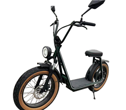 20inch Fat Tire Electric Motorcycle Scooter
